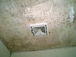 �����E�������t�H�[���A���j�b�g�o�X���t�H�[���A�����E�������t�H�[���A���j�b�g�o�X���t�H�[���A�����E�������t�H�[���A���j�b�g�o�X���t�H�[���A�����E�������t�H�[���A���j�b�g�o�X���t�H�[���A