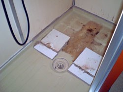 �����E�������t�H�[���A���j�b�g�o�X���t�H�[���A�����E�������t�H�[���A���j�b�g�o�X���t�H�[���A�����E�������t�H�[���A���j�b�g�o�X���t�H�[���A�����E�������t�H�[���A���j�b�g�o�X���t�H�[���A