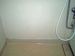 �����E�������t�H�[���A���j�b�g�o�X���t�H�[���A�����E�������t�H�[���A���j�b�g�o�X���t�H�[���A�����E�������t�H�[���A���j�b�g�o�X���t�H�[���A�����E�������t�H�[���A���j�b�g�o�X���t�H�[���A