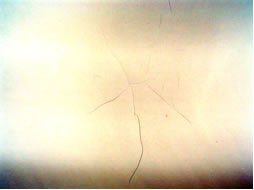 ���j�b�g�o�X���t�H�[���E�����o�X�^�u�E�}���V�����������t�H�[���E�������[�J�[�E���C�Z�܂��E���j�b�g�o�X���t�H�[���E�����o�X�^�u�E�}���V�����������t�H�[���E�������[�J�[�E���C�Z�܂��E���j�b�g�o�X���t�H�[���E�����o�X�^�u�E�}���V�����������t�H�[���E�������[�J�[�E���C�Z�܂��E���j�b�g�o�X���t�H�[���E�����o�X�^�u�E�}���V�����������t�H�[���E�������[�J�[�E���C�Z�܂��E���j�b�g�o�X���t�H�[���E�����o�X�^�u�E�}���V�����������t�H�[���E�������[�J�[�E���C�Z�܂�