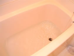 ���j�b�g�o�X���t�H�[���E�����o�X�^�u�E�}���V�����������t�H�[���E�������[�J�[�E���C�Z�܂��E���j�b�g�o�X���t�H�[���E�����o�X�^�u�E�}���V�����������t�H�[���E�������[�J�[�E���C�Z�܂��E���j�b�g�o�X���t�H�[���E�����o�X�^�u�E�}���V�����������t�H�[���E�������[�J�[�E���C�Z�܂��E���j�b�g�o�X���t�H�[���E�����o�X�^�u�E�}���V�����������t�H�[���E�������[�J�[�E���C�Z�܂��E���j�b�g�o�X���t�H�[���E�����o�X�^�u�E�}���V�����������t�H�[���E�������[�J�[�E���C�Z�܂�