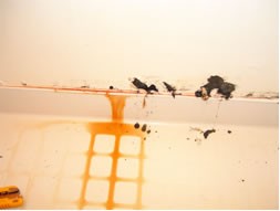 ���j�b�g�o�X���t�H�[���E�����o�X�^�u�E�}���V�����������t�H�[���E�������[�J�[�E���C�Z�܂��E���j�b�g�o�X���t�H�[���E�����o�X�^�u�E�}���V�����������t�H�[���E�������[�J�[�E���C�Z�܂��E���j�b�g�o�X���t�H�[���E�����o�X�^�u�E�}���V�����������t�H�[���E�������[�J�[�E���C�Z�܂��E���j�b�g�o�X���t�H�[���E�����o�X�^�u�E�}���V�����������t�H�[���E�������[�J�[�E���C�Z�܂��E���j�b�g�o�X���t�H�[���E�����o�X�^�u�E�}���V�����������t�H�[���E�������[�J�[�E���C�Z�܂�