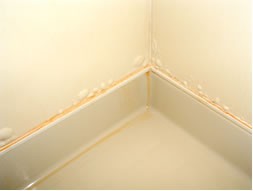 ���j�b�g�o�X���t�H�[���E�����o�X�^�u�E�}���V�����������t�H�[���E�������[�J�[�E���C�Z�܂��E���j�b�g�o�X���t�H�[���E�����o�X�^�u�E�}���V�����������t�H�[���E�������[�J�[�E���C�Z�܂��E���j�b�g�o�X���t�H�[���E�����o�X�^�u�E�}���V�����������t�H�[���E�������[�J�[�E���C�Z�܂��E���j�b�g�o�X���t�H�[���E�����o�X�^�u�E�}���V�����������t�H�[���E�������[�J�[�E���C�Z�܂��E���j�b�g�o�X���t�H�[���E�����o�X�^�u�E�}���V�����������t�H�[���E�������[�J�[�E���C�Z�܂�