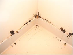 ���j�b�g�o�X���t�H�[���E�����o�X�^�u�E�}���V�����������t�H�[���E�������[�J�[�E���C�Z�܂��E���j�b�g�o�X���t�H�[���E�����o�X�^�u�E�}���V�����������t�H�[���E�������[�J�[�E���C�Z�܂��E���j�b�g�o�X���t�H�[���E�����o�X�^�u�E�}���V�����������t�H�[���E�������[�J�[�E���C�Z�܂��E���j�b�g�o�X���t�H�[���E�����o�X�^�u�E�}���V�����������t�H�[���E�������[�J�[�E���C�Z�܂��E���j�b�g�o�X���t�H�[���E�����o�X�^�u�E�}���V�����������t�H�[���E�������[�J�[�E���C�Z�܂�