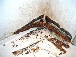 ���j�b�g�o�X���t�H�[���E�����o�X�^�u�E�}���V�����������t�H�[���E�������[�J�[�E���C�Z�܂��E���j�b�g�o�X���t�H�[���E�����o�X�^�u�E�}���V�����������t�H�[���E�������[�J�[�E���C�Z�܂��E���j�b�g�o�X���t�H�[���E�����o�X�^�u�E�}���V�����������t�H�[���E�������[�J�[�E���C�Z�܂��E���j�b�g�o�X���t�H�[���E�����o�X�^�u�E�}���V�����������t�H�[���E�������[�J�[�E���C�Z�܂��E���j�b�g�o�X���t�H�[���E�����o�X�^�u�E�}���V�����������t�H�[���E�������[�J�[�E���C�Z�܂�