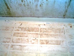 ���j�b�g�o�X���t�H�[���E�����o�X�^�u�E�}���V�����������t�H�[���E�������[�J�[�E���C�Z�܂��E���j�b�g�o�X���t�H�[���E�����o�X�^�u�E�}���V�����������t�H�[���E�������[�J�[�E���C�Z�܂��E���j�b�g�o�X���t�H�[���E�����o�X�^�u�E�}���V�����������t�H�[���E�������[�J�[�E���C�Z�܂��E���j�b�g�o�X���t�H�[���E�����o�X�^�u�E�}���V�����������t�H�[���E�������[�J�[�E���C�Z�܂��E���j�b�g�o�X���t�H�[���E�����o�X�^�u�E�}���V�����������t�H�[���E�������[�J�[�E���C�Z�܂�