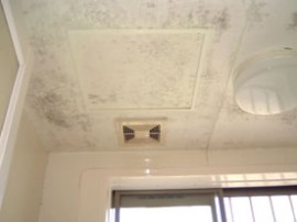 ���j�b�g�o�X���t�H�[���E�����o�X�^�u�E�}���V�����������t�H�[���E�������[�J�[�E���C�Z�܂��E���j�b�g�o�X���t�H�[���E�����o�X�^�u�E�}���V�����������t�H�[���E�������[�J�[�E���C�Z�܂��E���j�b�g�o�X���t�H�[���E�����o�X�^�u�E�}���V�����������t�H�[���E�������[�J�[�E���C�Z�܂��E���j�b�g�o�X���t�H�[���E�����o�X�^�u�E�}���V�����������t�H�[���E�������[�J�[�E���C�Z�܂��E���j�b�g�o�X���t�H�[���E�����o�X�^�u�E�}���V�����������t�H�[���E�������[�J�[�E���C�Z�܂�