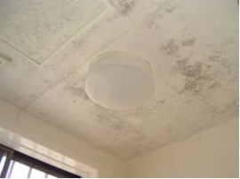 ���j�b�g�o�X���t�H�[���E�����o�X�^�u�E�}���V�����������t�H�[���E�������[�J�[�E���C�Z�܂��E���j�b�g�o�X���t�H�[���E�����o�X�^�u�E�}���V�����������t�H�[���E�������[�J�[�E���C�Z�܂��E���j�b�g�o�X���t�H�[���E�����o�X�^�u�E�}���V�����������t�H�[���E�������[�J�[�E���C�Z�܂��E���j�b�g�o�X���t�H�[���E�����o�X�^�u�E�}���V�����������t�H�[���E�������[�J�[�E���C�Z�܂��E���j�b�g�o�X���t�H�[���E�����o�X�^�u�E�}���V�����������t�H�[���E�������[�J�[�E���C�Z�܂�