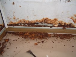 �����E���C���t�H�[���E�����C���E�����E���C���t�H�[���E�����C���E�����E���C���t�H�[���E�����C���E�����E���C���t�H�[���E�����C���E�����E���C���t�H�[���E�����C���E�����E���C���t�H�[���E�����C���E�����E���C���t�H�[���E�����C���E�����E���C���t�H�[���E�����C���E�����E���C���t�H�[���E�����C���E�����E���C���t�H�[���E�����C��