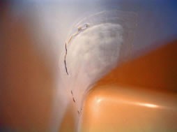 �����E���C���t�H�[���E�����C���E�����E���C���t�H�[���E�����C���E�����E���C���t�H�[���E�����C���E�����E���C���t�H�[���E�����C���E�����E���C���t�H�[���E�����C���E�����E���C���t�H�[���E�����C���E�����E���C���t�H�[���E�����C���E�����E���C���t�H�[���E�����C���E�����E���C���t�H�[���E�����C���E�����E���C���t�H�[���E�����C��