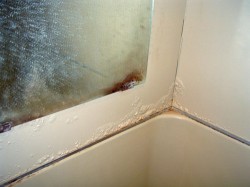 �����E���C���t�H�[���E�����C���E�����E���C���t�H�[���E�����C���E�����E���C���t�H�[���E�����C���E�����E���C���t�H�[���E�����C���E�����E���C���t�H�[���E�����C���E�����E���C���t�H�[���E�����C���E�����E���C���t�H�[���E�����C���E�����E���C���t�H�[���E�����C���E�����E���C���t�H�[���E�����C���E�����E���C���t�H�[���E�����C��