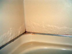 �����E���C���t�H�[���E�����C���E�����E���C���t�H�[���E�����C���E�����E���C���t�H�[���E�����C���E�����E���C���t�H�[���E�����C���E�����E���C���t�H�[���E�����C���E�����E���C���t�H�[���E�����C���E�����E���C���t�H�[���E�����C���E�����E���C���t�H�[���E�����C���E�����E���C���t�H�[���E�����C���E�����E���C���t�H�[���E�����C��